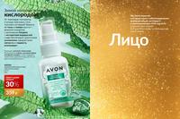 Стр. 114 каталог Эйвон декабрь 2024